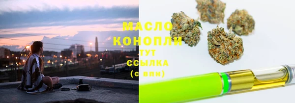 твердый Верхний Тагил