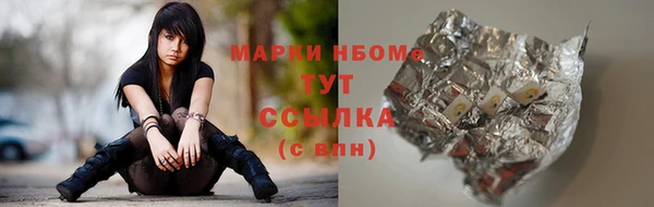 твердый Верхний Тагил